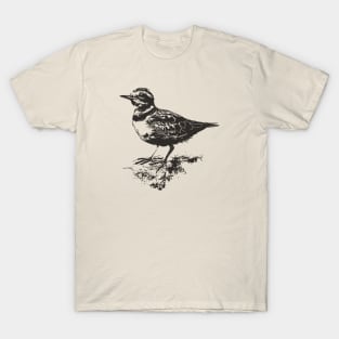 Hand drawn killdeer bird T-Shirt